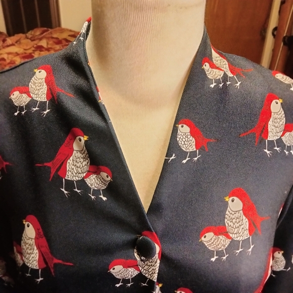 Miss Yan Bird Patterned Dark Academia Teacher Button Up Dress Size Small - Picture 7 of 13